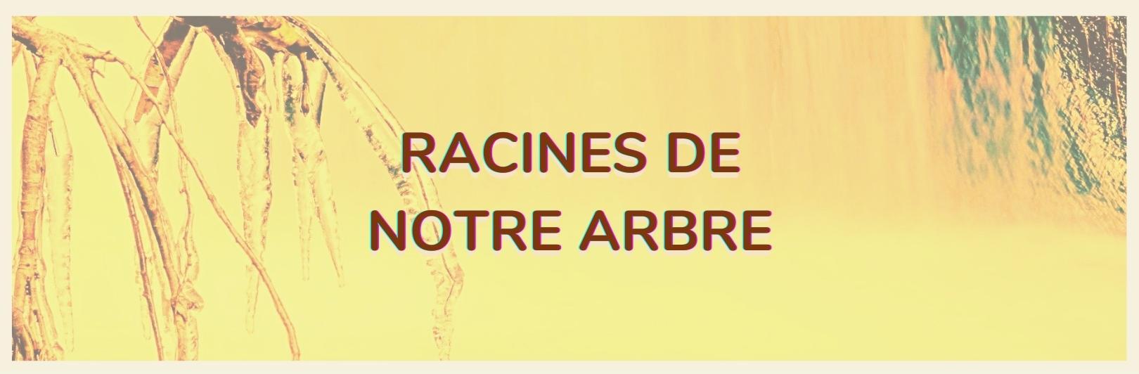 Racines: The Roots/Racines